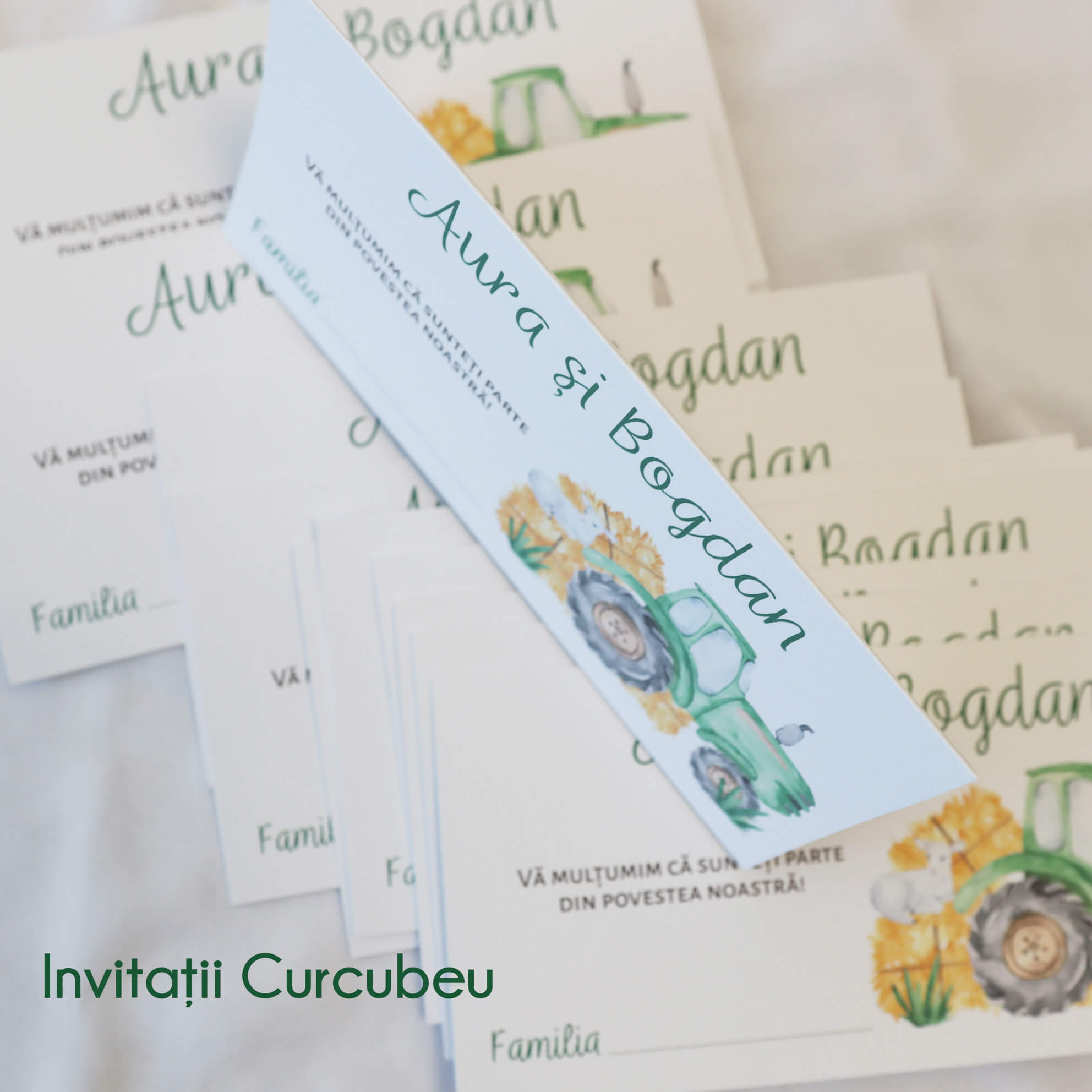 Plic de Bani Agricultură - imagine 4