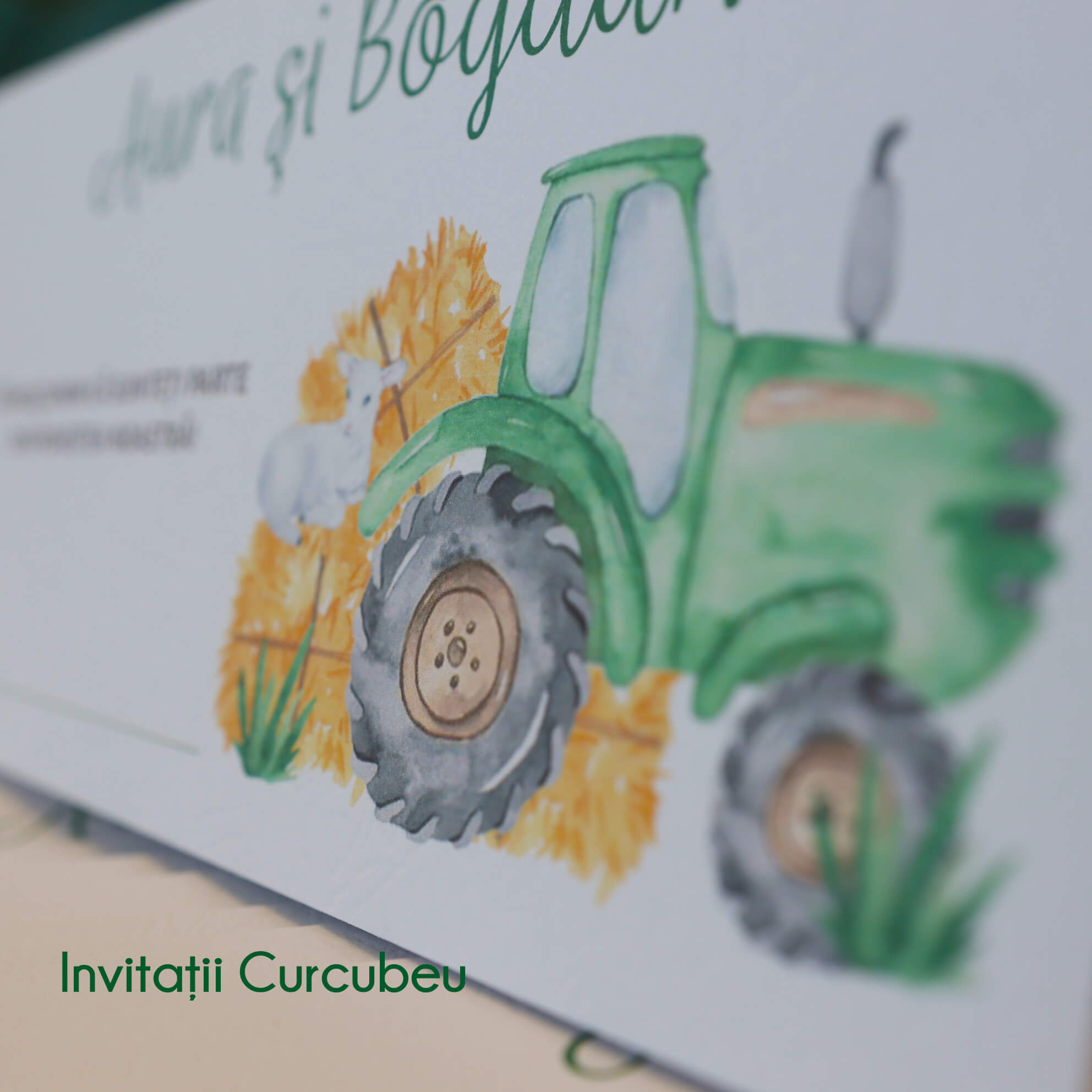 Plic de Bani Agricultură - imagine 2