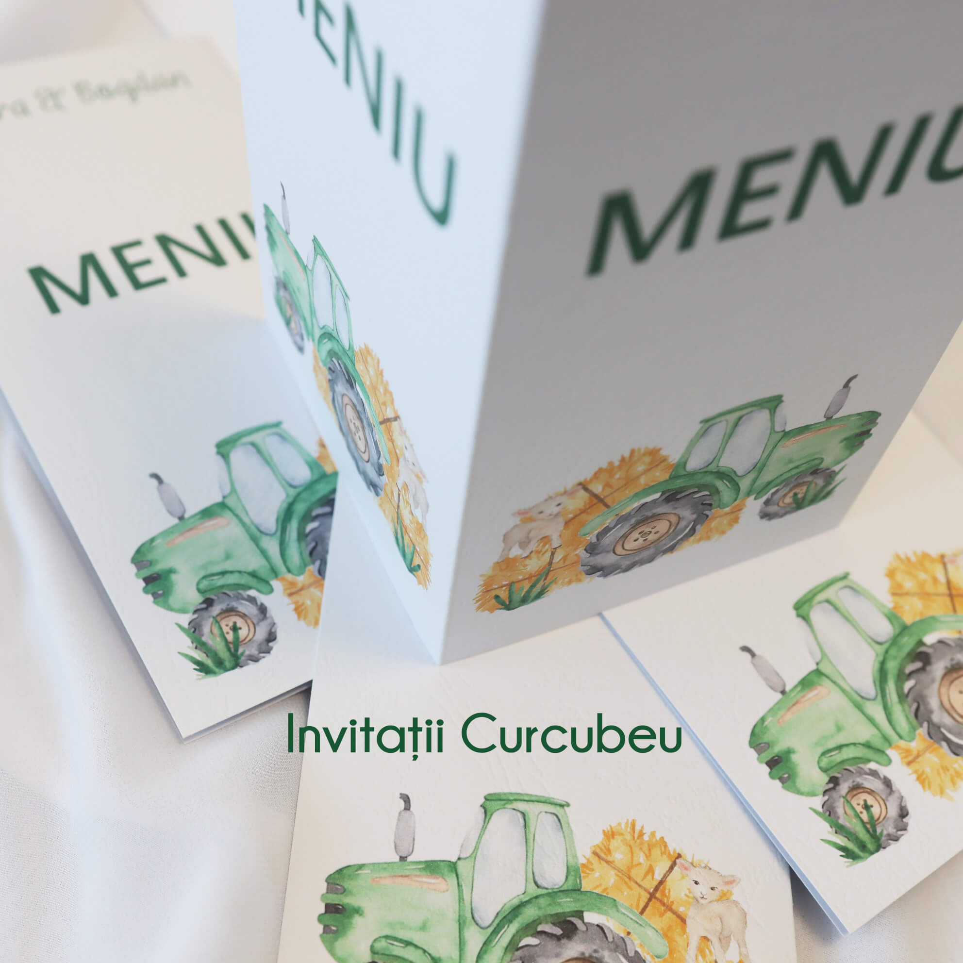 Meniu de nuntă Agricultură - imagine 5