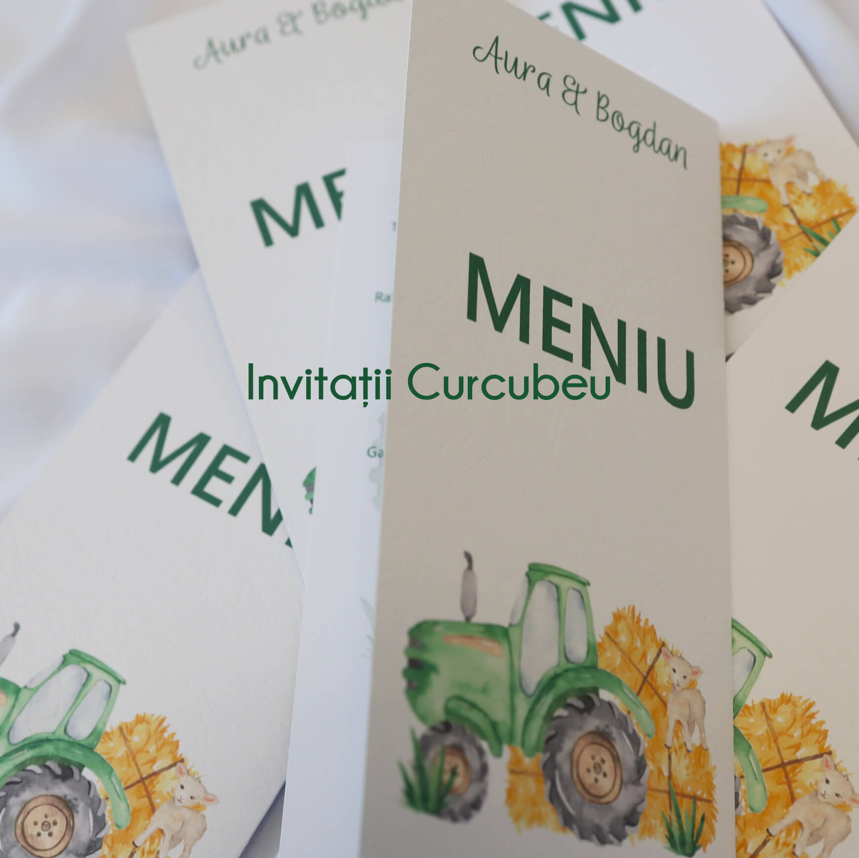 Meniu de nuntă Agricultură - imagine 4