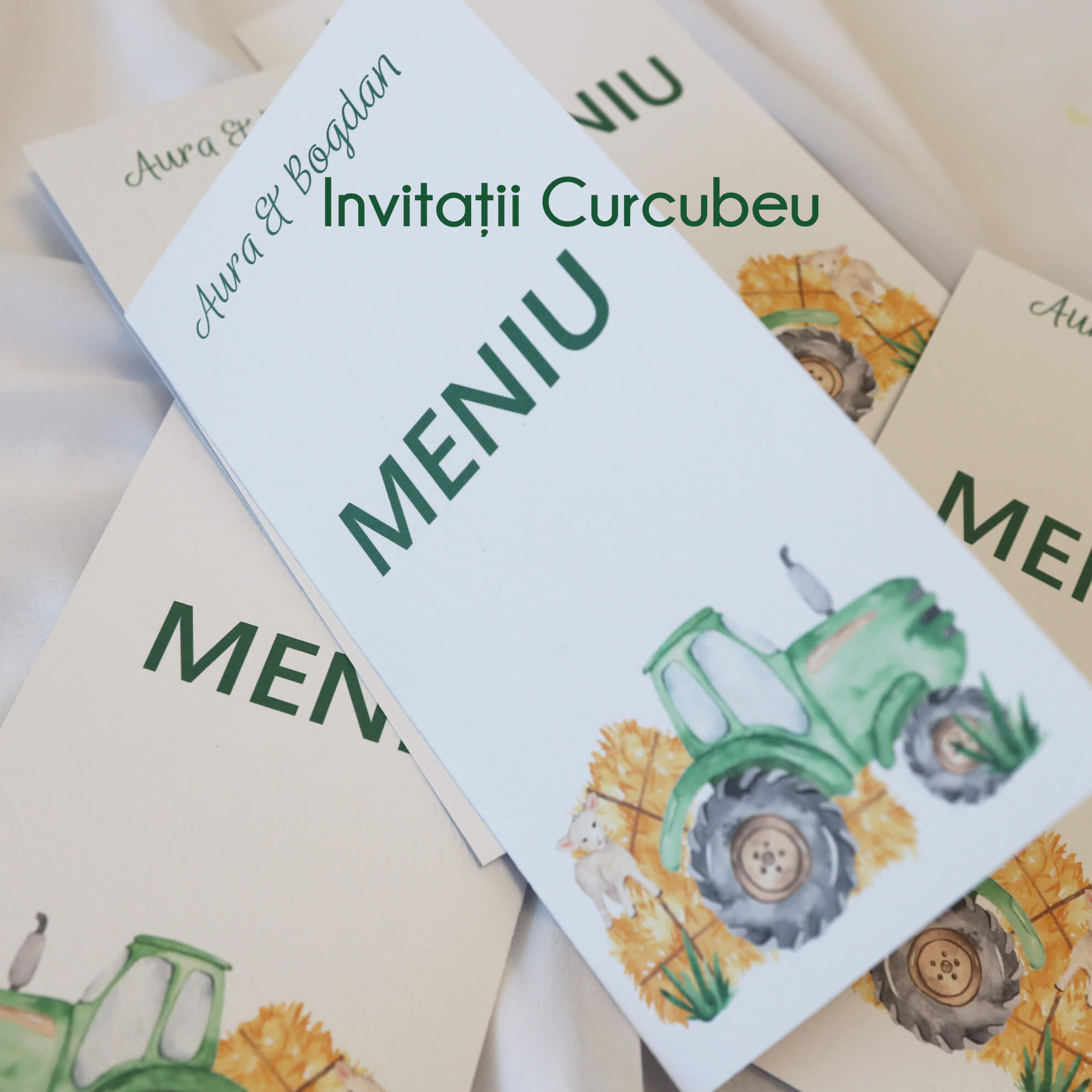 Meniu de nuntă Agricultură