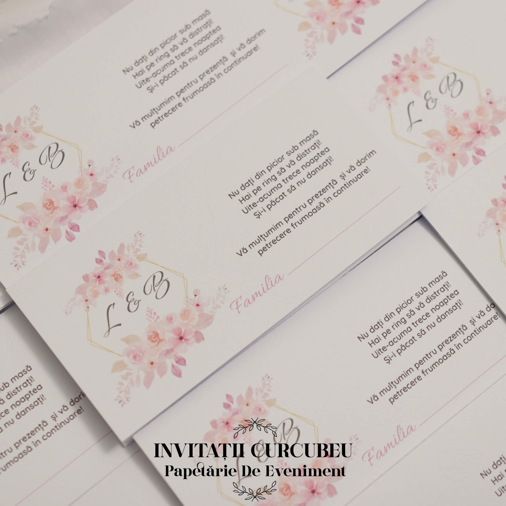 Plic de Bani cu flori roz - imagine 6