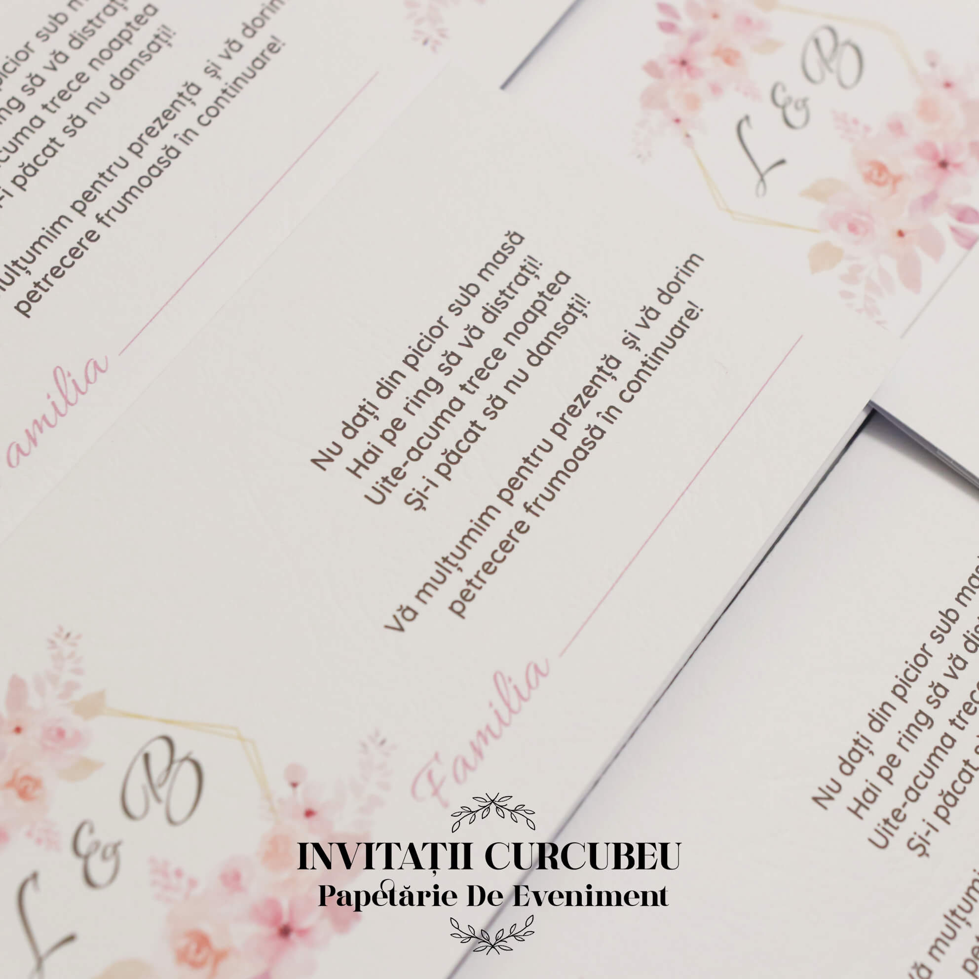 Plic de Bani cu flori roz - imagine 5