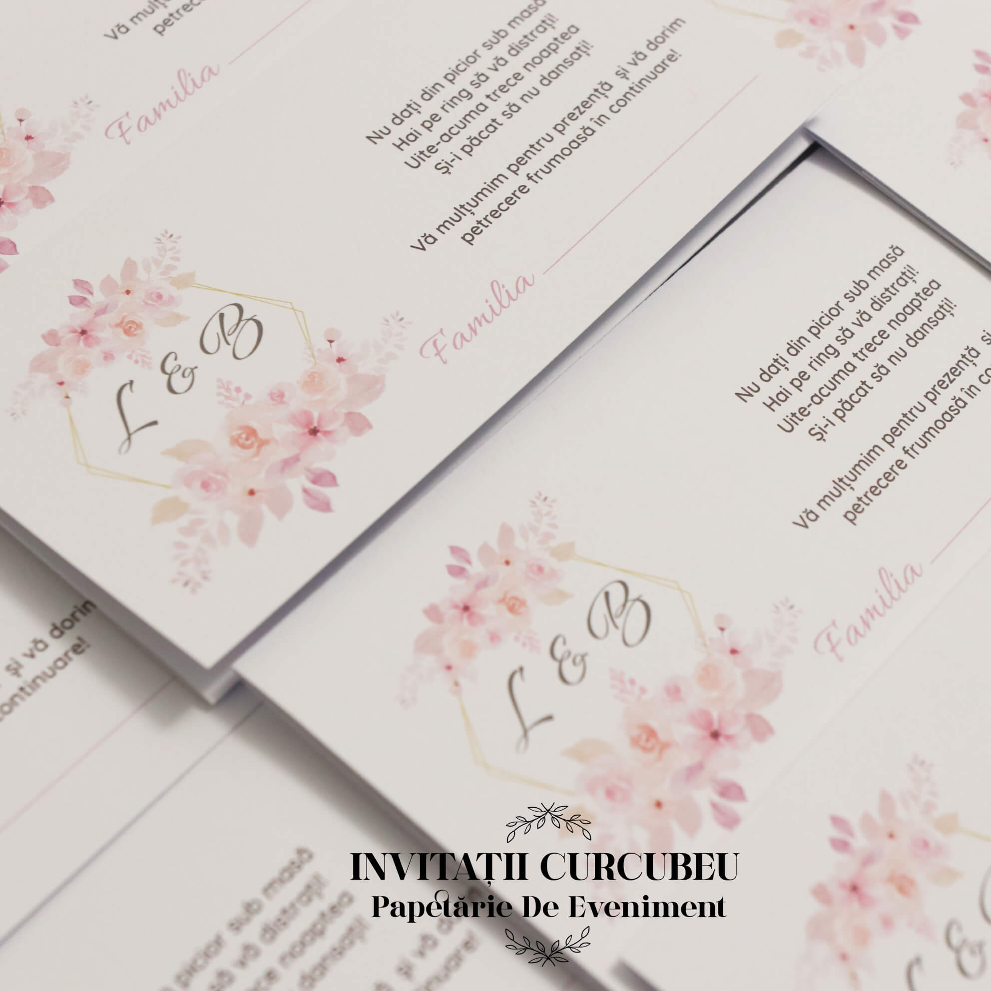 Plic de Bani cu flori roz - imagine 4