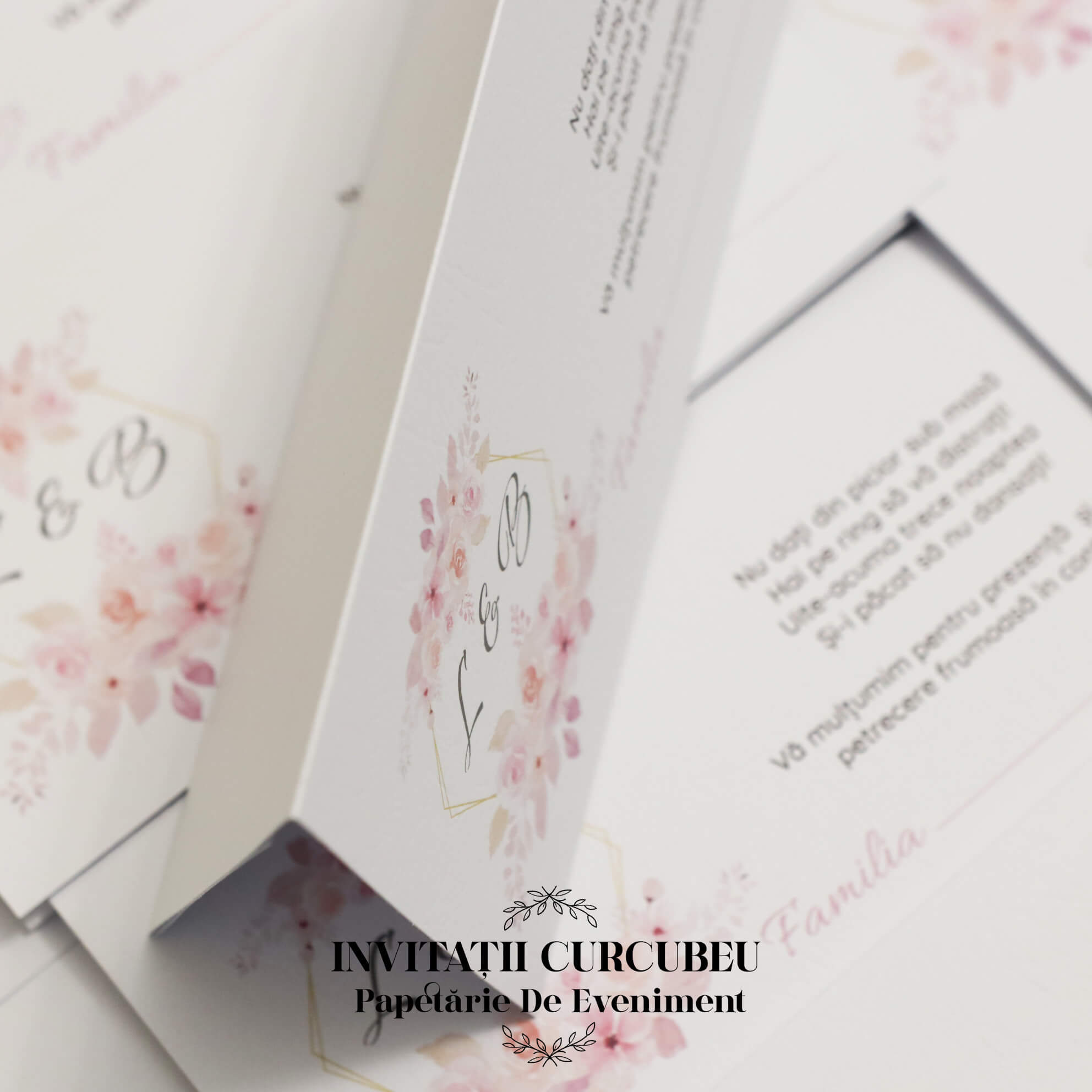 Plic de Bani cu flori roz - imagine 3