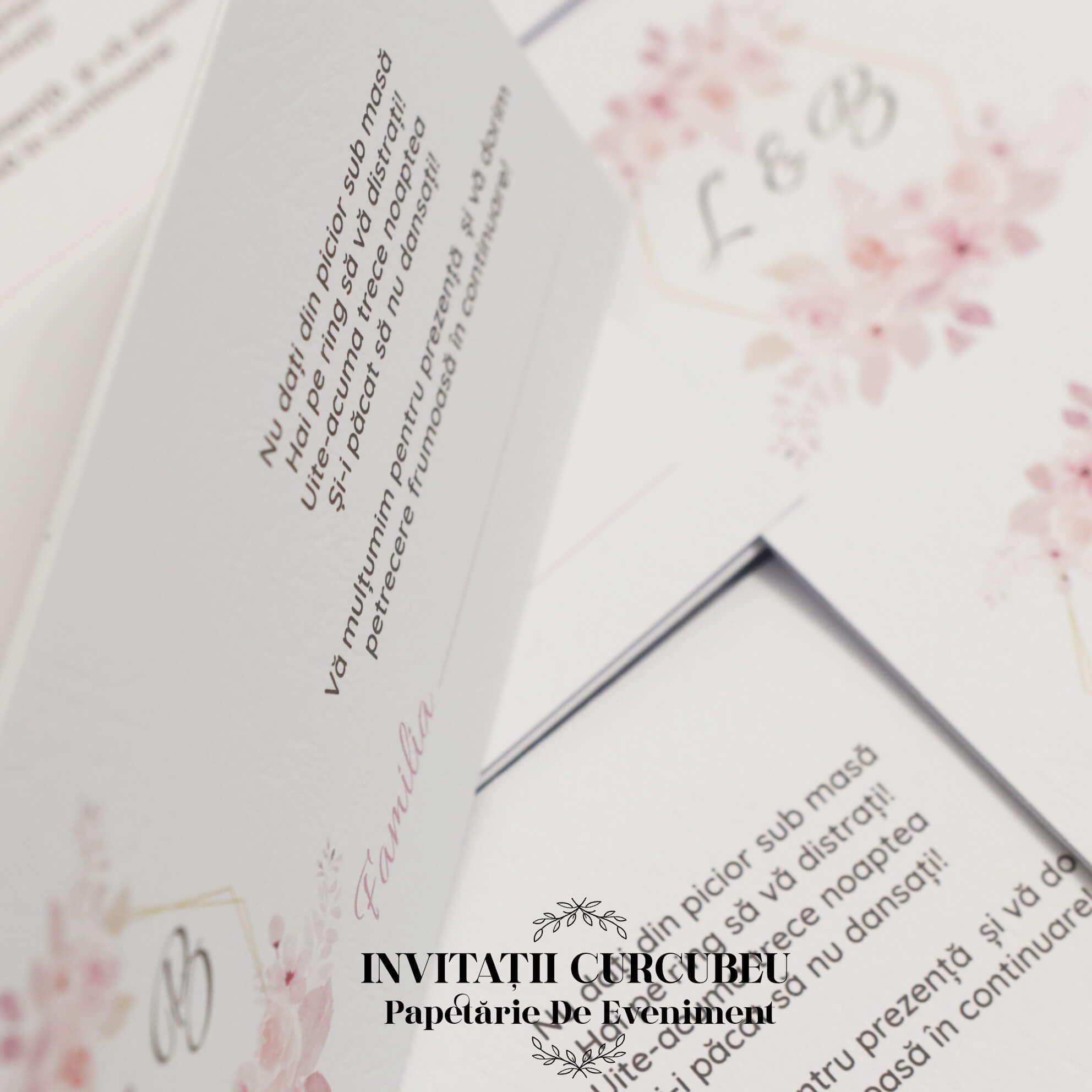 Plic de Bani cu flori roz - imagine 2