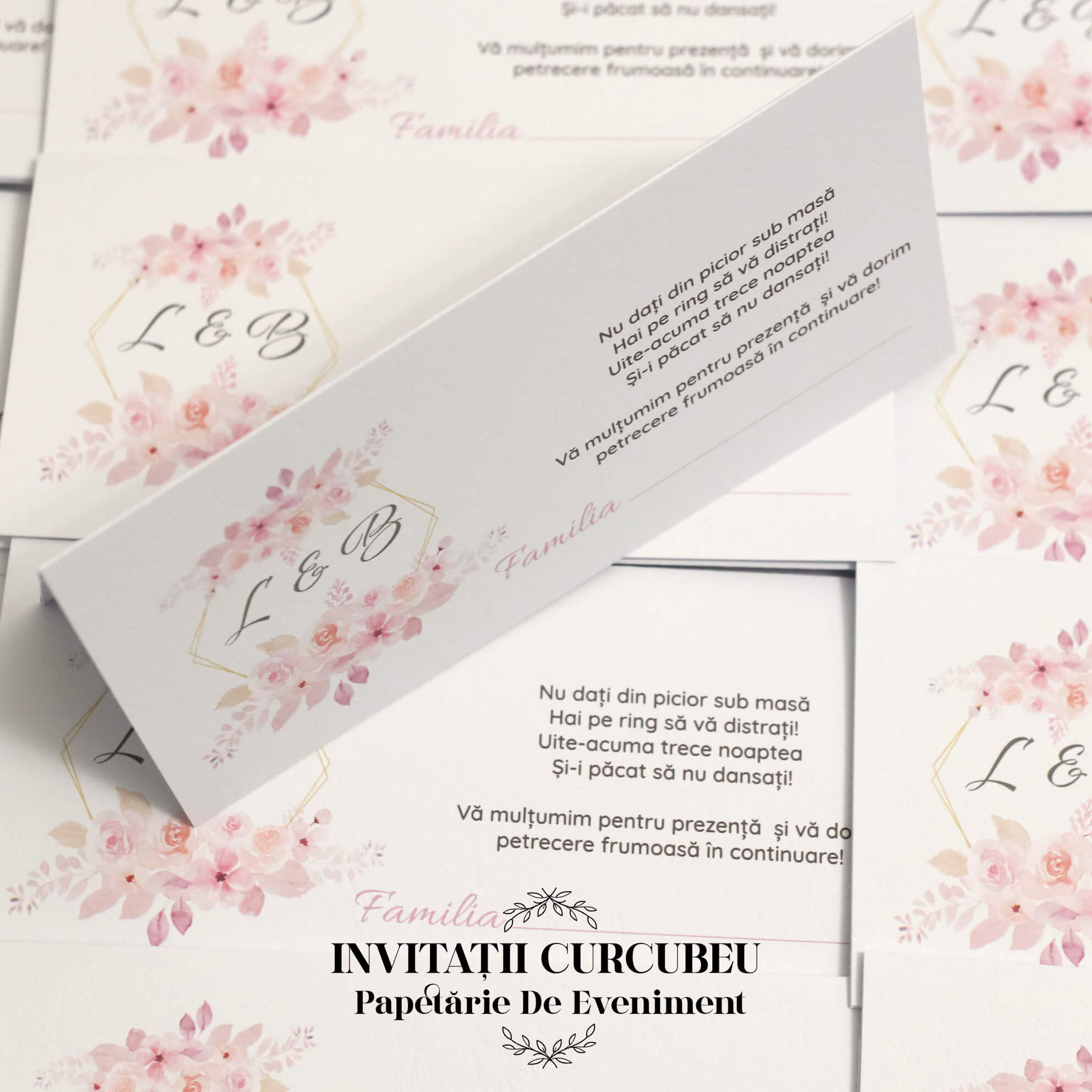 Plic de Bani cu flori roz