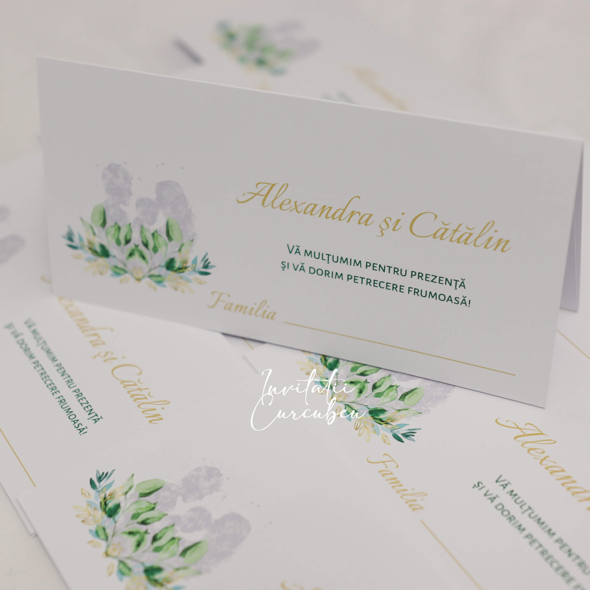 Plic de Bani Family - imagine 4