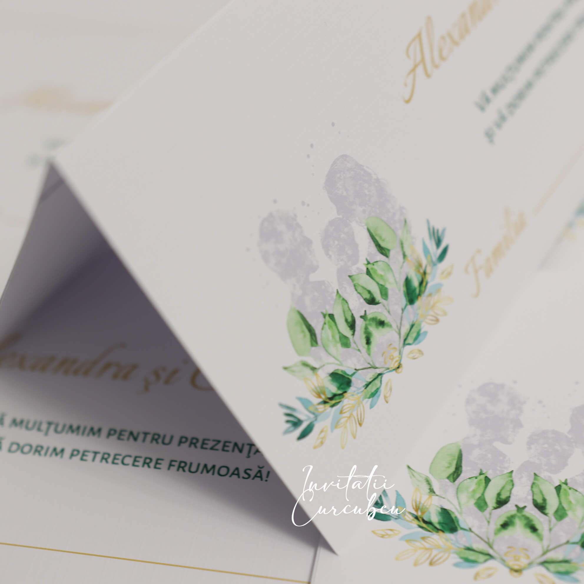 Plic de Bani Family - imagine 2